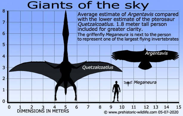 Size comparison of Quetzalcoatlus and Argentavis