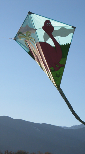 Flying kite