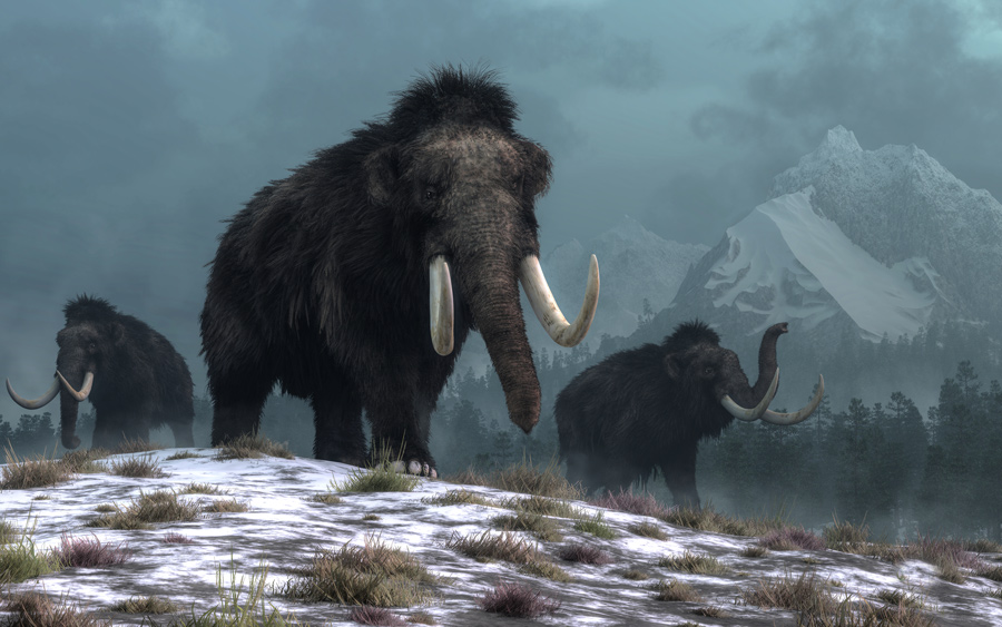 Ice Age